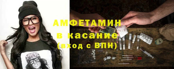 индика Медногорск