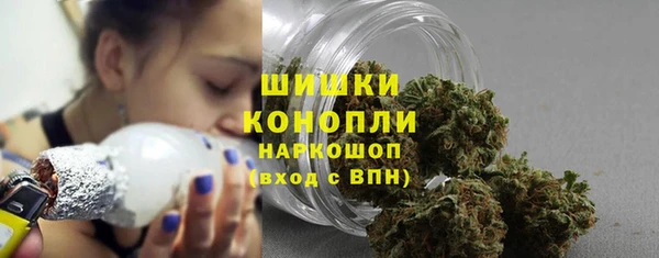 гидра Медвежьегорск