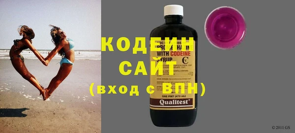 индика Михайловка