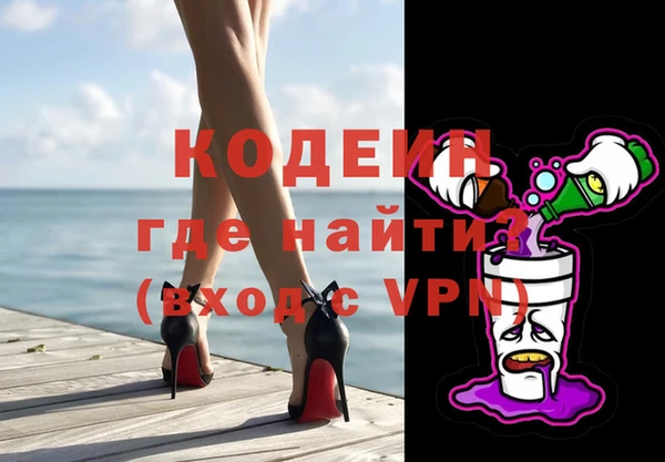 индика Медногорск